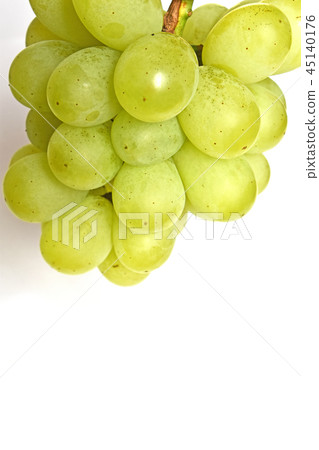 葡萄(瑞穗) 葡萄(瑞穗) 45140176
