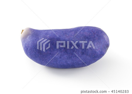 明美 明美 45140283