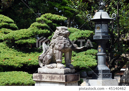 Shiba Inu from Ikeda Yasaka Shrine-7 Shiba Inu from Ikeda Yasaka Shrine-7 45140462