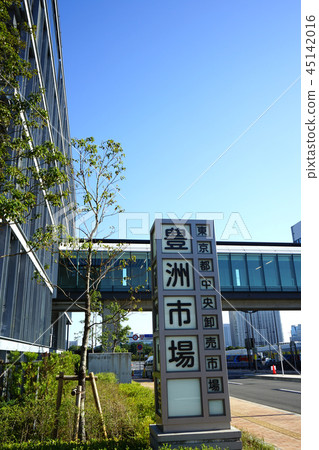 Toyosu市場風景主要門南部 45142016