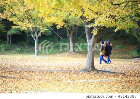 秋天，花園，公園，秋葉，秋季景觀，獨立大廳 45142385