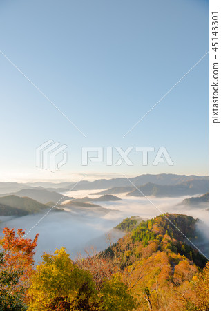 秋葉秋葉清早多雲海 秋葉秋葉清早多雲海 45143301