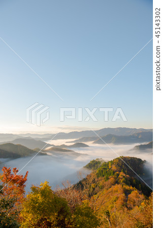 秋葉秋葉清早多雲海 秋葉秋葉清早多雲海 45143302