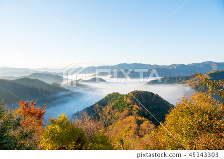 秋葉秋葉清早多雲海 秋葉秋葉清早多雲海 45143303