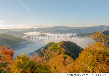 秋葉秋葉清早多雲海 秋葉秋葉清早多雲海 45143304
