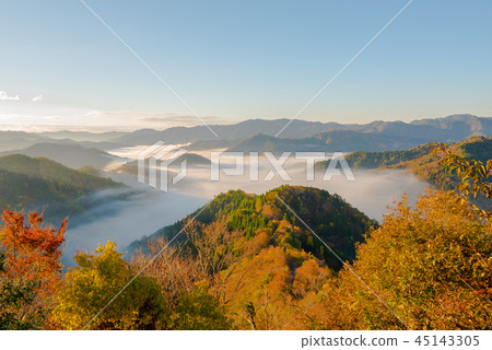 秋葉秋葉清早多雲海 秋葉秋葉清早多雲海 45143305
