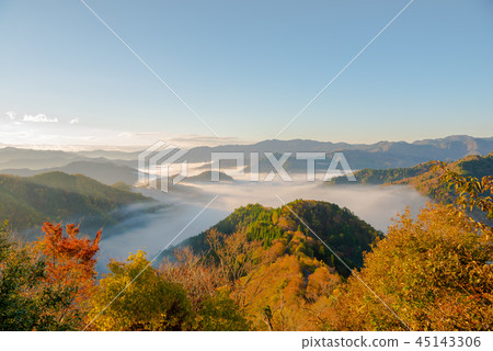 秋葉秋葉清早多雲海 秋葉秋葉清早多雲海 45143306