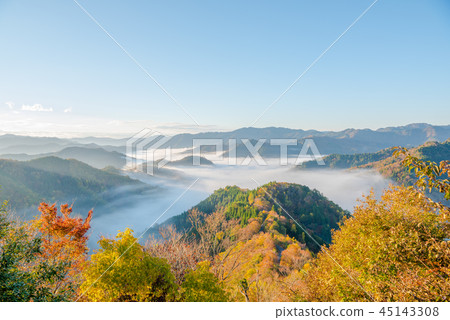 秋葉秋葉清早多雲海 秋葉秋葉清早多雲海 45143308
