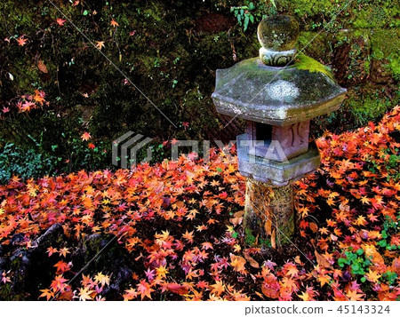 Stone lantern and autumn leaves Stone lantern and autumn leaves 45143324
