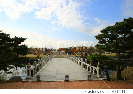 秋天,花園,公園,秋季景觀,獨立大廳 秋天,花園,公園,秋季景觀,獨立大廳 45143401