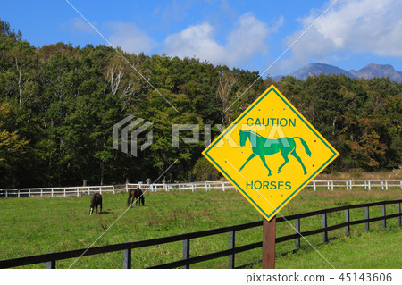 Animal Warning Signs Road Safety 45143606