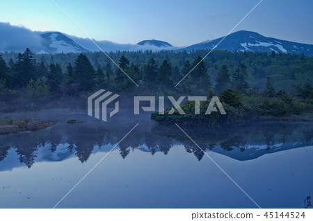 Water lily field Water lily field 45144524