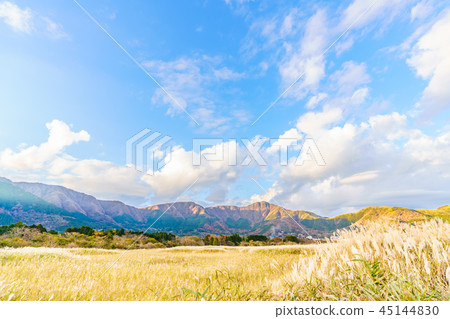 Japan's Autumn Hakone Sengokuhara Susuki prairie 45144830