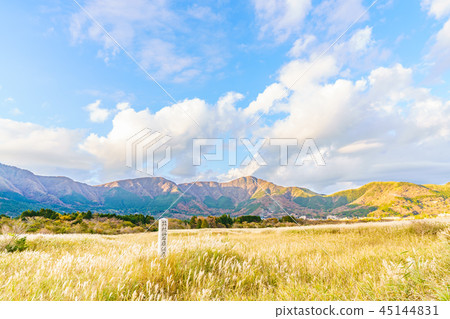 Japan's Autumn Hakone Sengokuhara Susuki prairie 45144831
