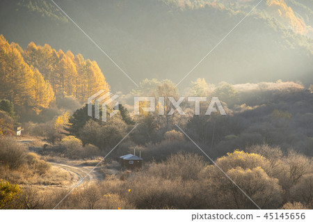 Secret Garden, Inje County, Gangwon Province 45145656