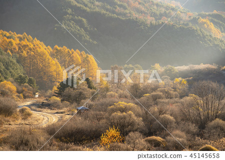 Secret Garden, Inje County, Gangwon Province Secret Garden, Inje County, Gangwon Province 45145658