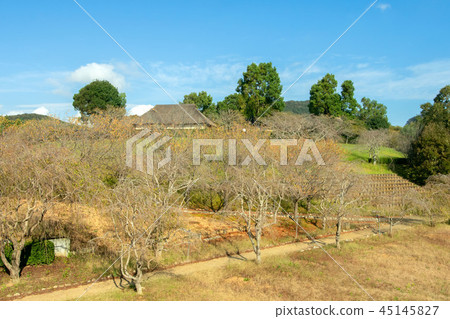Hill of Hokuriku Fudoki Hill of Hokuriku Fudoki 45145827