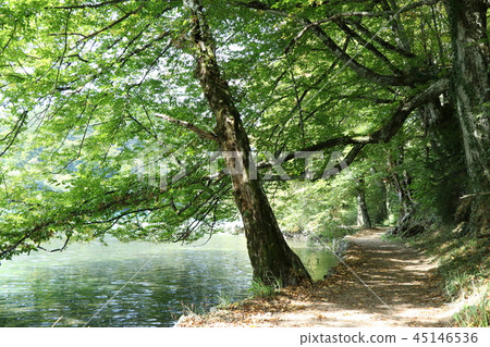 普里特維採 普里特維採 45146536