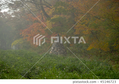 Sunun-cheon, Sunun-san, Gochang-gun, Jeonbuk 45146723