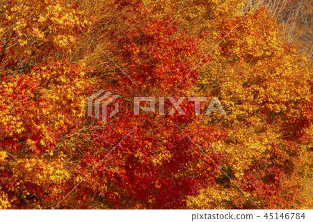 Sunon-cheon，Sunun-san，Gochang-gun，Jeonbuk 45146784