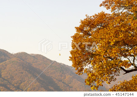 Magok, Ta hwasan, Princess (Korea), Chungnam Magok, Ta hwasan, Princess (Korea), Chungnam 45147144