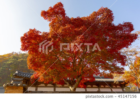 Magok, Ta hwasan, Princess (Korea), Chungnam Magok, Ta hwasan, Princess (Korea), Chungnam 45147156