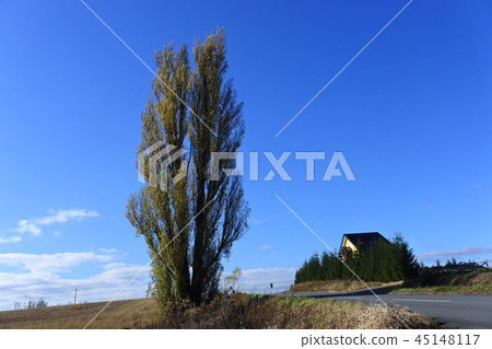 Biei no Oka Biei no Oka 45148117