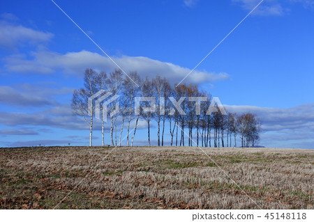 Biei no Oka 45148118