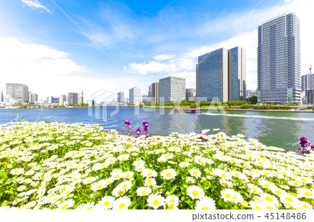 Urban landscape with garden 45148486