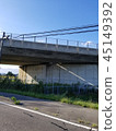 大橋 45149392