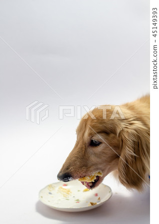 老狗 老狗 45149393