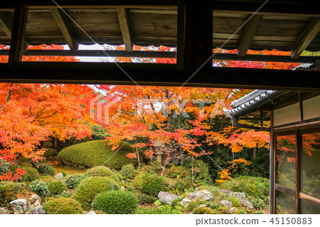 Genko通行證秋葉，秋天在從主要大廳看見的庭院裡 45150883