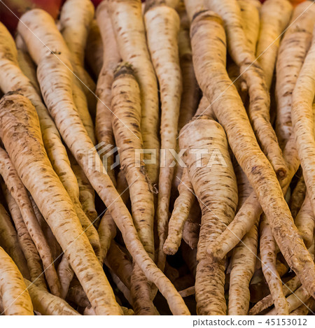 autumn background mature long roots young autumn background mature long roots young 45153012