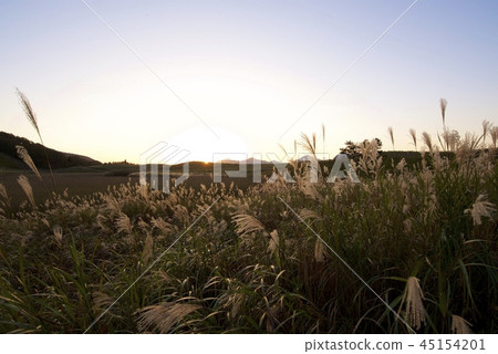 Soni plateau in autumn at dusk 45154201