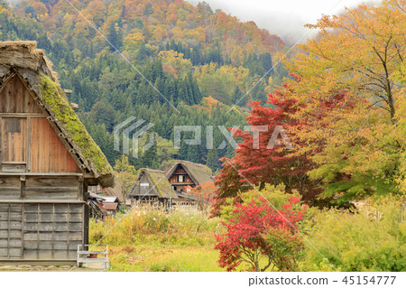 Shirakawa Town autumn 45154777