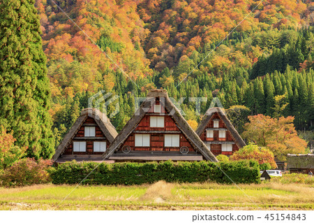 白川鄉秋天 45154843