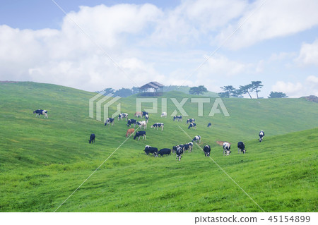 Gangwon Province, Korea, Daegwallyeong, Samyang Ranch 45154899
