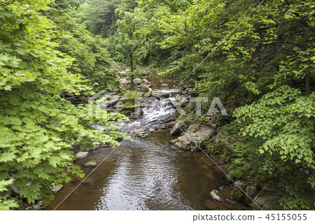 Gangwon Province, Korea, Daegwallyeong, Samyang Ranch 45155055