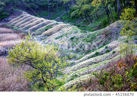 仁川，韓國，江華道，Gwangseongbo 45156870