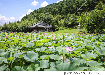 Jeollabuk-do，韓國，Wanju， 45157515