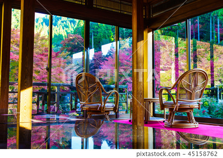 Autumn leaves of environmental art forest [Saatsu Prefecture Karatsu city] 45158762