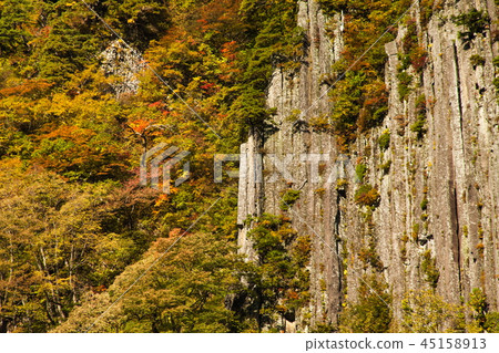 Autumn leaves and Fuiwayama Autumn leaves and Fuiwayama 45158913