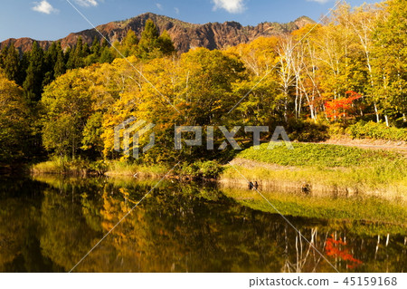 Amaike autumn leaves Amaike autumn leaves 45159168