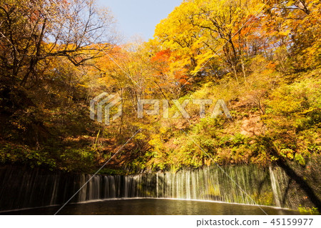 Shiraito Falls of autumn leaves Shiraito Falls of autumn leaves 45159977