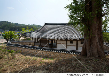 Taein Donghon(朝鮮王朝) Taein Donghon(朝鮮王朝) 45160068