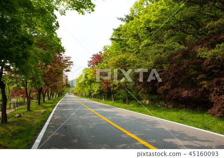 Naksan National Park, Jeongeup, Jeonbuk 45160093