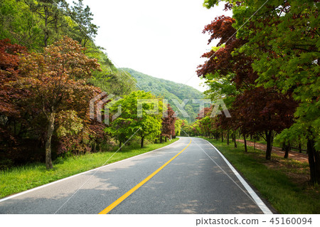 Naksan National Park, Jeongeup, Jeonbuk 45160094