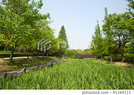 京畿道烏山市水香植物園 45160115