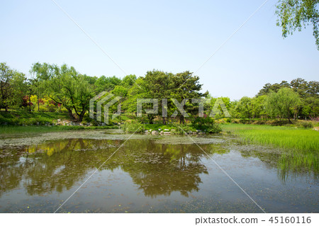 Water Fragrance Arboretum, Osan City, Gyeonggi-do 45160116