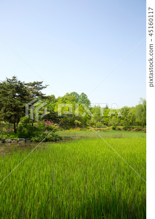 京畿道烏山市水香植物園 45160117